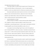 ENTORNO INFLUYENTE EN EL JOVEN