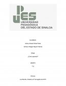 ¿Cómo aprendo? Existen 4 tipos de aprendizaje