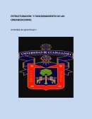 Estructuracion y funcionamiento de las organizaciones