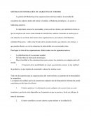 SISTEMAS DE INFORMACIÓN DEL MARKETING DEL TURISMO