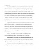 Organizaciones no gubernamentales. La regionalización