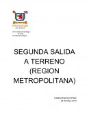 Hortofruticultura salida a terreno