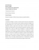 Planeación estratégica en Plásticos Anuar para lograr una expansión efectiva.