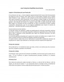 Lean Production Simplified, Pascal Dennis