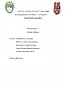 Practica No. 5 Ácidos y Bases