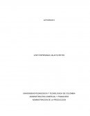 Actividad Administracion de la produccion