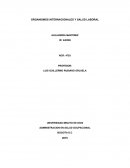 ORGANISMOS INTERNACIONALES Y SALUD LABORAL