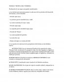 Teoria y tecnica del turismo I