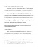 COMO SE DA LA FRESA ALMACEN