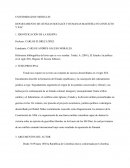 Ejemplo de una reseña