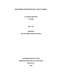 ORGANISMOS INTERNACIONALES Y SALUD LABORAL. Página 1