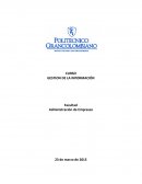 TRABAJO COLABORATIVO