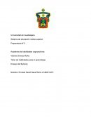 Preparatoria N°2 Academia de habilidades cognoscitivas Ensayo del Bullying