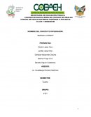 Investigacio de proyecto