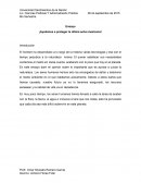 ENSAYO ¡Ayúdanos a proteger la última selva mexicana!