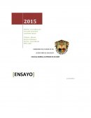 Ensayo