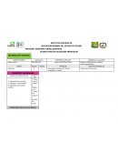 Como es la Planeacion promocion a la salud