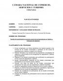 Planeacion de actividades SS