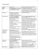 Sistema Pull /Toyota/Lean Manufacturing