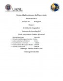 ¿Afecta la temperatura en el crecimiento de las plantas?
