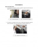 Procedimiento queso petie suite