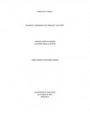 Lanzamiento de u producto