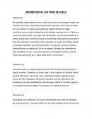 ﻿Descripcion de los tipos de suelo