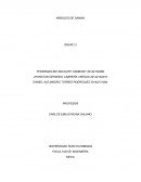 ARBOLES DE SAMAN GRUPO 3