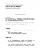 Caso de negocio de un proyecto