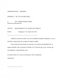 INFORME. Página 1