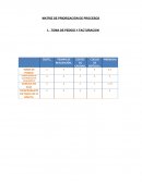 Palta hass a holanda