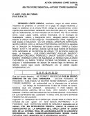 Accion Plenaria de Posesecion Demanda Civil