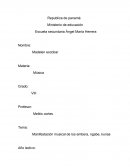 Manifestación musical de los embera, ngabe, kunas