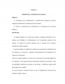 Práctica 2 Identificación y cuantificación de sustancias
