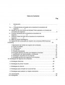 Propuesta de Nuevo Negocio: Empresa WSD Business Consulting