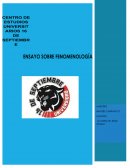 Ensayo sobre fenomenología