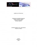 Warapo - bebida natural energética