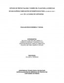 Trabajo de evaluación economica y social