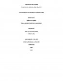 Desarrollo de un proyecto agroturistico