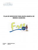 PLAN DE NEGOCIOS PARA NUEVA MARCA DE BEBIDA GASEOSA