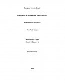 Importancia del Consumo Moderado de Proteínas en la vida diaria