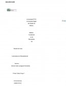 Fundamentos de Mercadotecnia Estudio de Caso