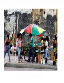 Seleccione en el arancel de aduanas tres mercancías de régimen de licencia previa y desarrolle un análisis sobre la importancia de estos productos en dicho régimen.