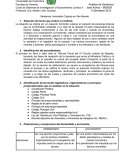 Analisis de sentencia