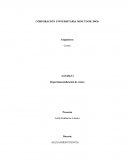 Departamentalizacion de costos