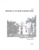 Manizales se vive desde el parque Caldas