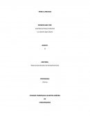 Tribus Urbanas. Bases Socioculturales del Comportamiento