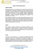 Estructura Organizacional