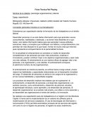 Ficha Técnica Rol Playing