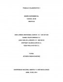 Diseño experimental trabajo colaborativo 1